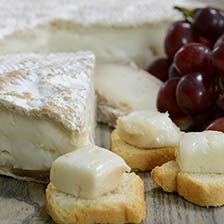 Brie de Chevre (Goat Milk Brie)