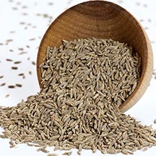 Dried Fennel Seeds | Fennel Spice | Using Whole Fennel Seed